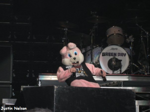 justin nelson pink bunny green day